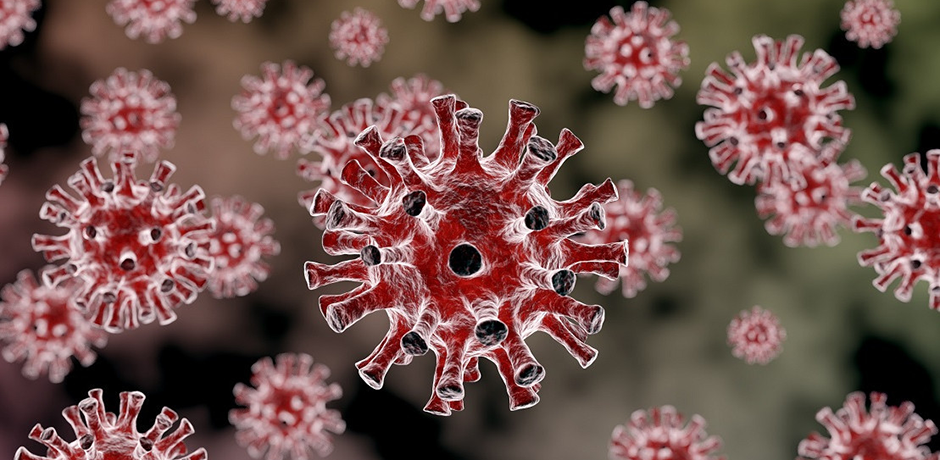 Новый вариант коронавируса “Пирола”