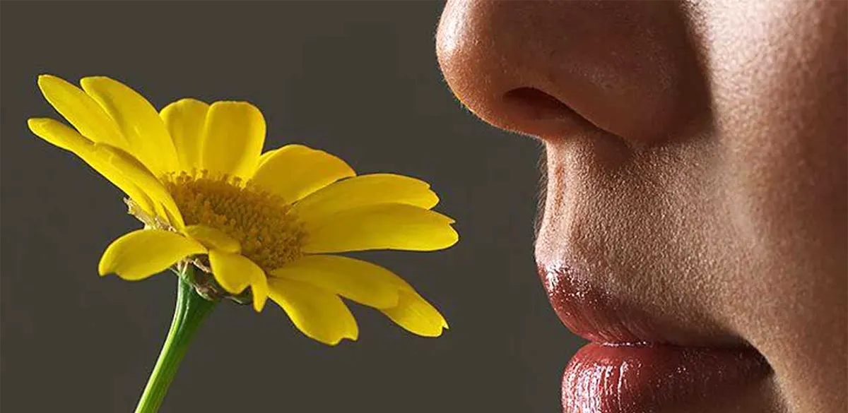 Подробнее о статье Исследователи выяснили, какой запах нравится абсолютно всем людям